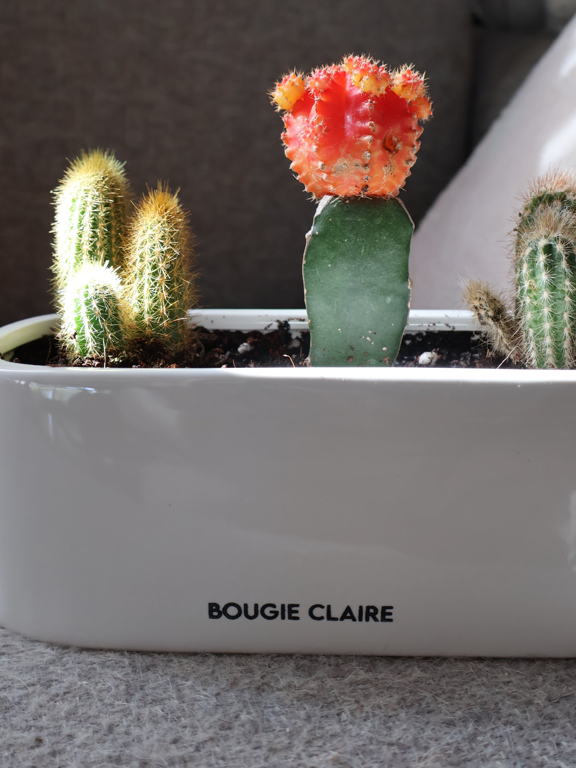 Céramique Blanche