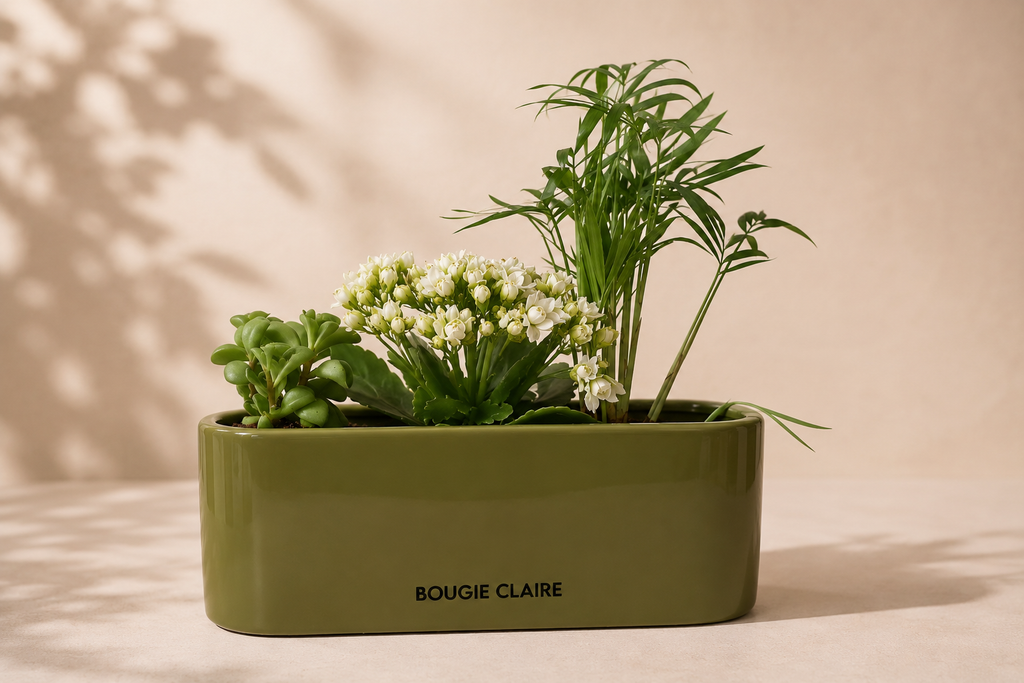 Céramique Vert Olive